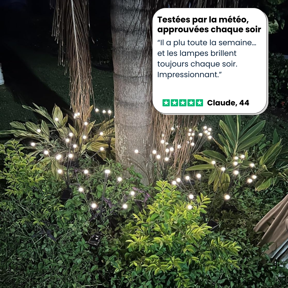 Lampes LED Lucioles à Énergie Solaire - Offre Spéciale