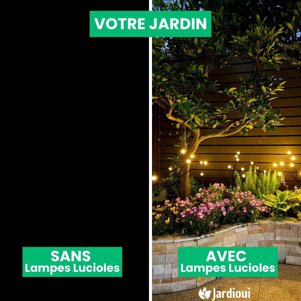 Lampes LED Lucioles à Énergie Solaire - Offre Spéciale