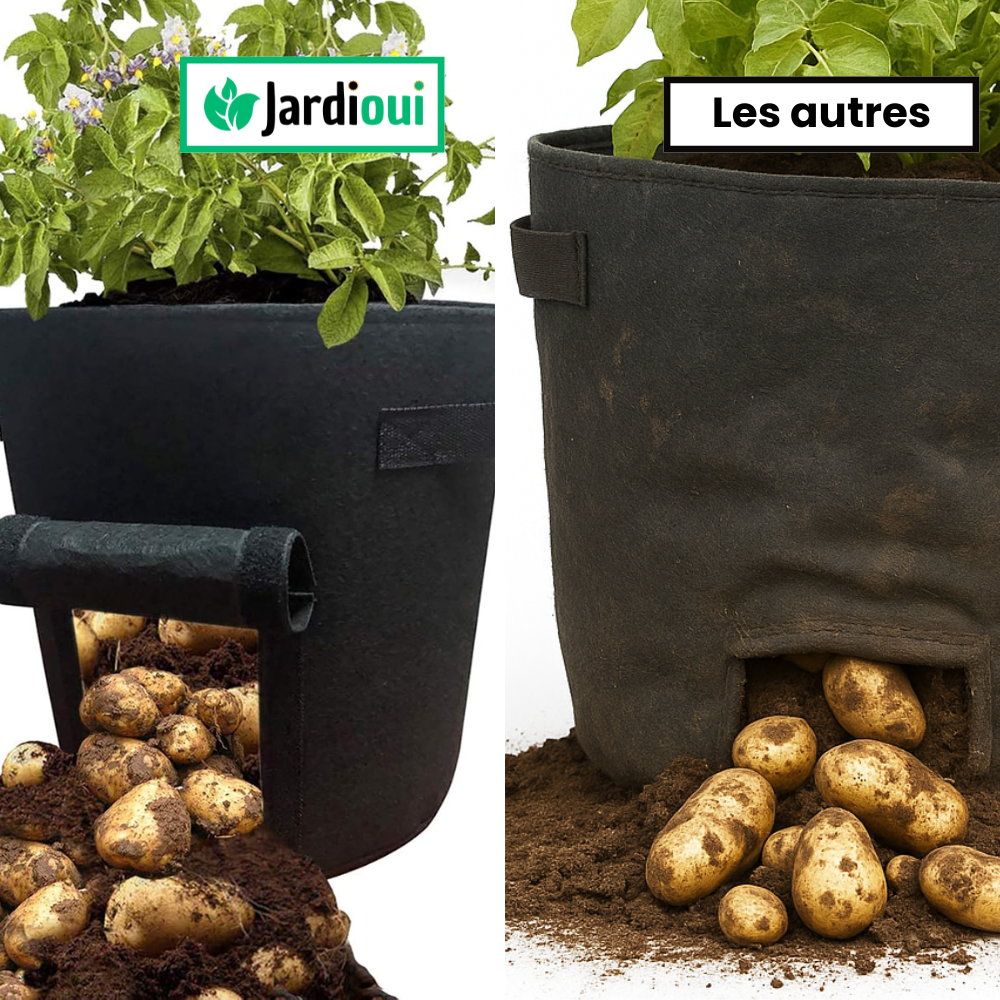Sac de Culture de Pommes de Terre Croissance