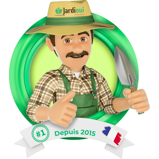 Jardioui UpCart - Shipping Protection Commande VIP