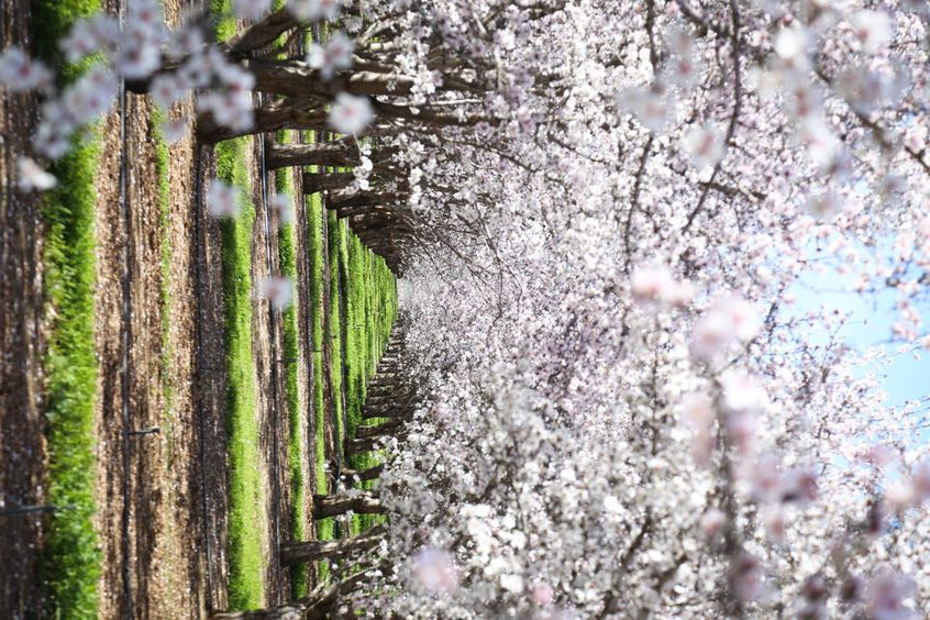 Comment Préparer Votre Jardin pour l’Hiver ?