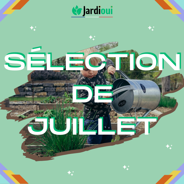 Sélection du mois de Juillet