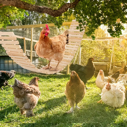 Balançoire Naturelle Suspendue pour Poulets
