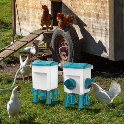 Professional Automatic Feeder for Chicken Coop