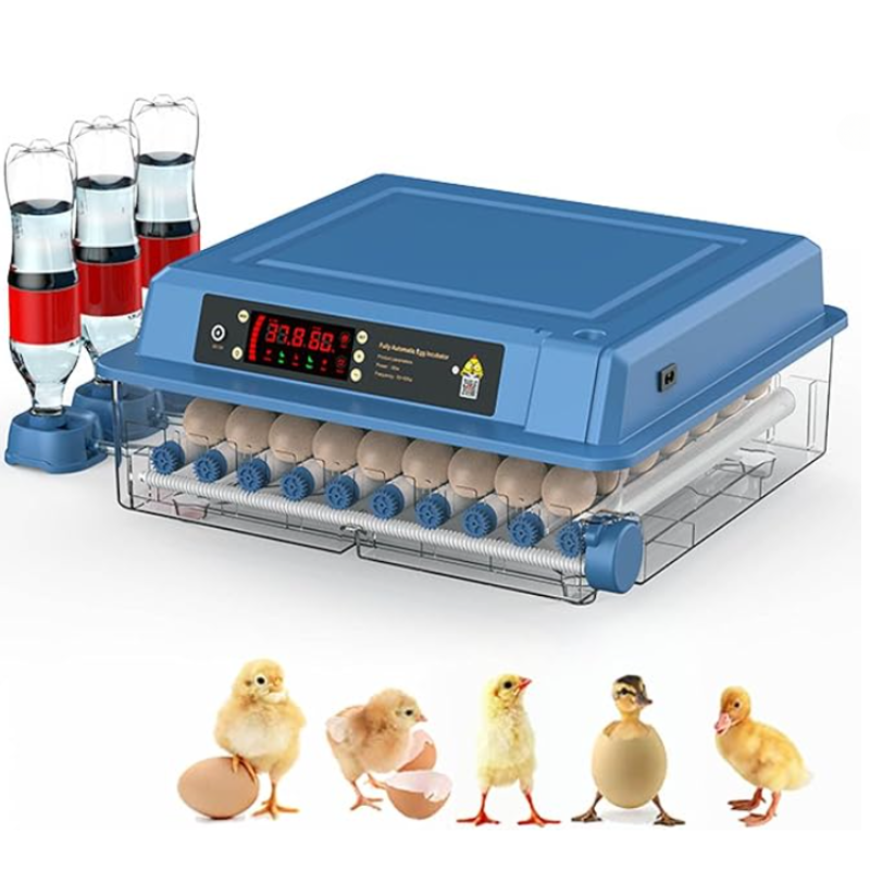 Professional Automatic Incubator Chicken Coop