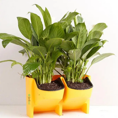 Jardioui 1 Jardinière (29.90 €/ pcs) / Jaune Jardinière verticale auto-arrosante (1 pièce)