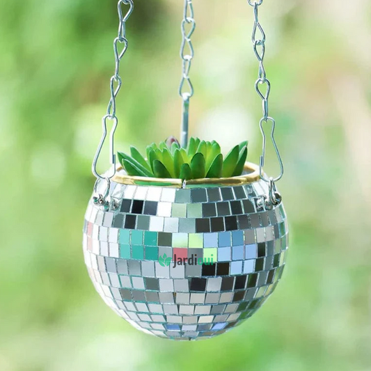 Jardioui 1 Pot (34.90 €/ pcs) Pot de Fleur Boule à Facette Éclatant