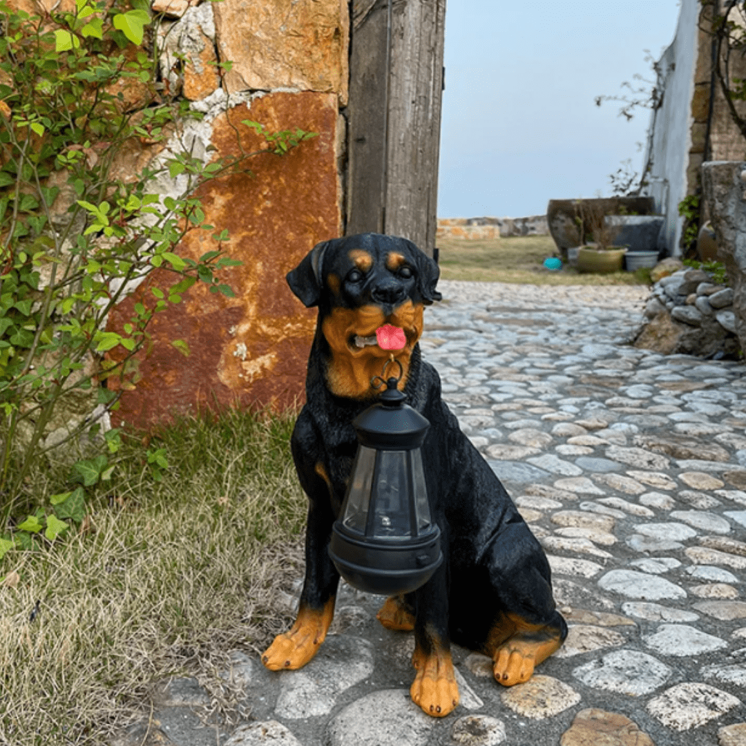 Jardioui Rottweiler Lampe Chien Solaire Éblouissant