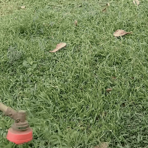 Jardioui Tête de Débroussailleuse Incassable - JardiBlade PRO